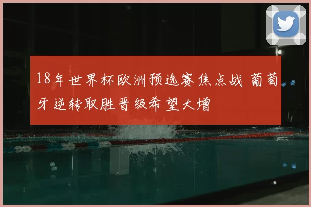 18年世界杯欧洲预选赛焦点战 葡萄牙逆转取胜晋级希望大增