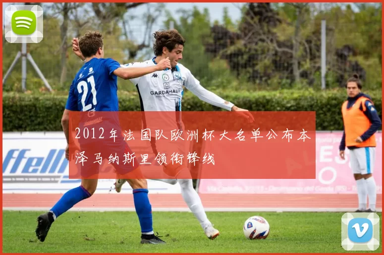 2012年法国队欧洲杯大名单公布本泽马纳斯里领衔锋线