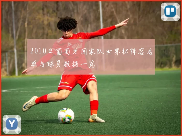 2010年葡萄牙国家队世界杯阵容名单与球员数据一览