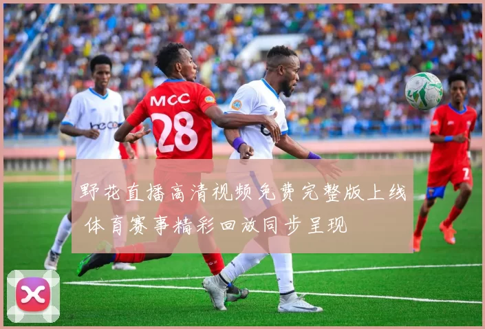 野花直播高清视频免费完整版上线 体育赛事精彩回放同步呈现
