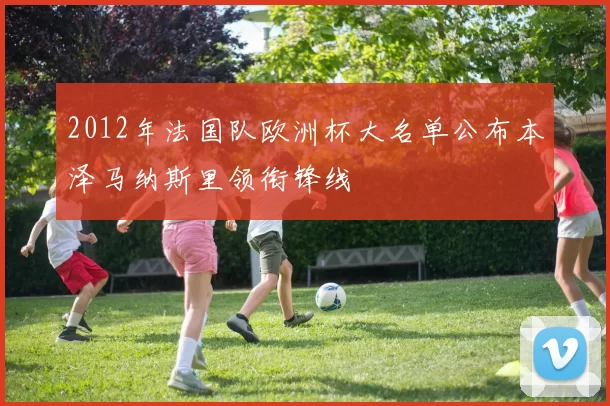 2012年法国队欧洲杯大名单公布本泽马纳斯里领衔锋线