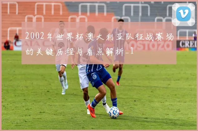 2002年世界杯澳大利亚队征战赛场的关键历程与看点解析_1